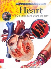 Image of Under The Microscope :  Heart  :How the blood gets around the body