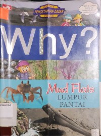 Image of Why? Mud FLats
