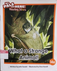 Image of What a Strange Animal !
